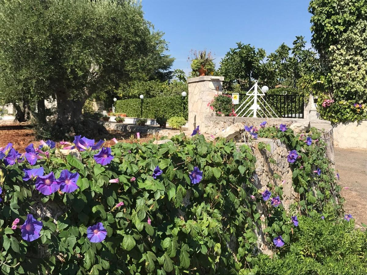 Hotel Il Trullo Di Nonno Angelo San Marco Locorotondo Exterior foto