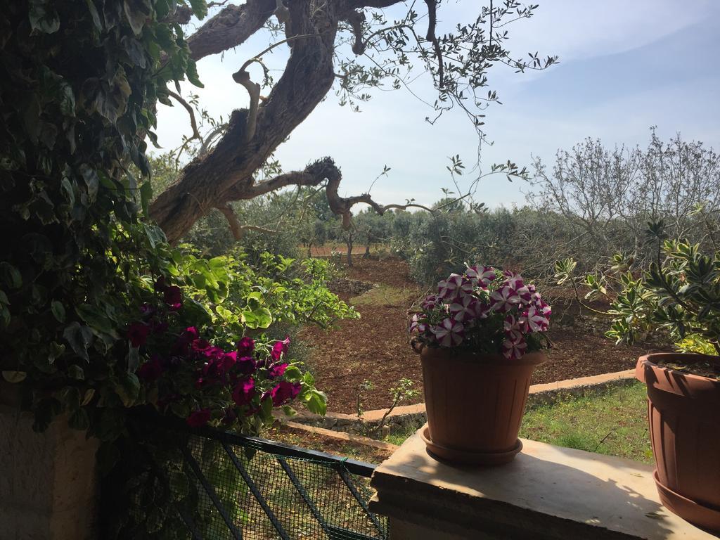 Hotel Il Trullo Di Nonno Angelo San Marco Locorotondo Exterior foto